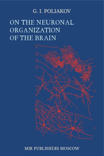 On The Neuronal Organization of The Brain