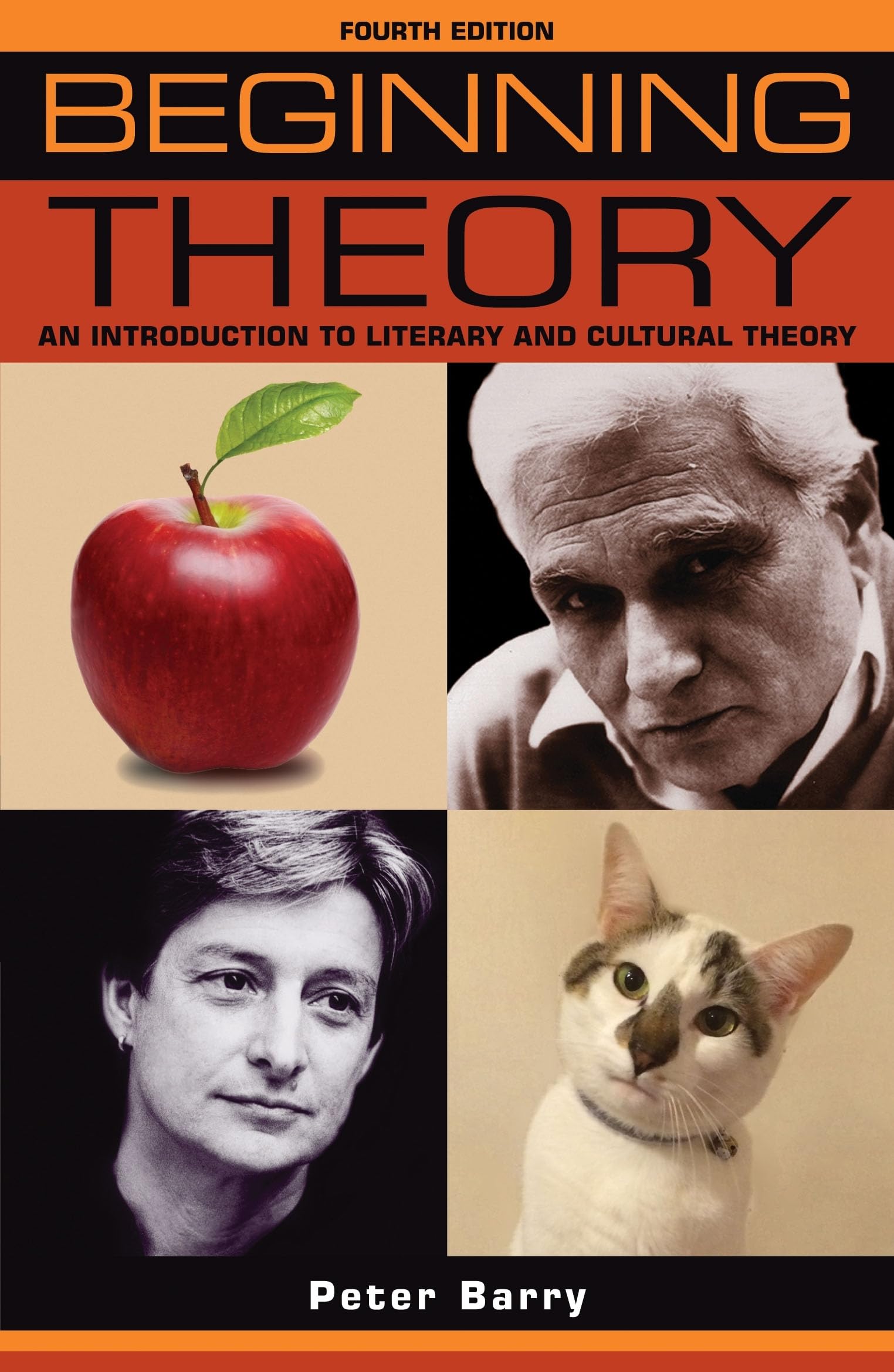 Beginning theory: An introduction to literary and cultural theory, Fourth Edition
