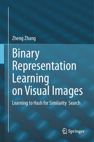 Binary Representation Learning on Visual Images: Learning to Hash for Similarity Search