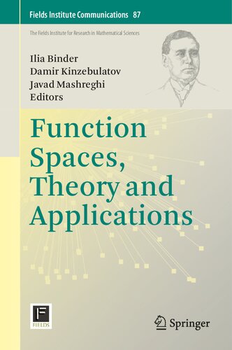 Function Spaces, Theory and Applications (Fields Institute Communications, 87)