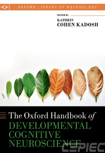 The Oxford Handbook of Developmental Cognitive Neuroscience (Oxford Library of Psychology)