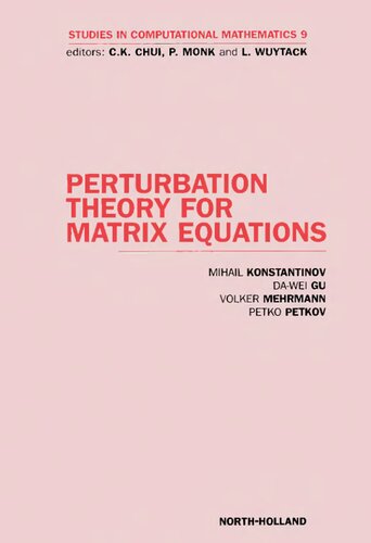 Perturbation Theory for Matrix Equations (Volume 9) (Studies in Computational Mathematics, Volume 9)