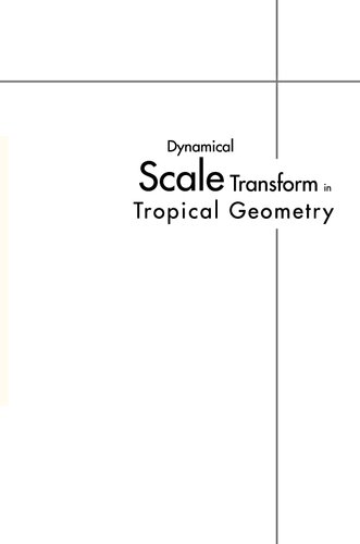 Dynamical Scale Transform In Tropical Geometry
