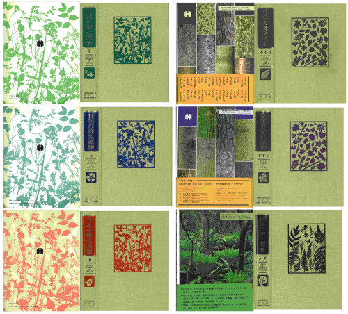 日本の野生植物　草本 I-III＋木本 I-II＋シダ（写真） WILD FLOWERS OF JAPAN