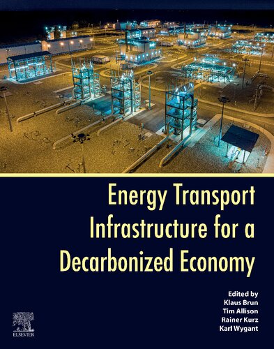 Energy Transport Infrastructure for a Decarbonized Economy