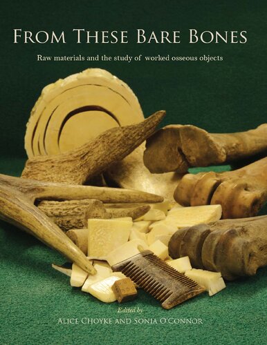 From These Bare Bones: Raw Materials and the Study of Worked Osseous Objects