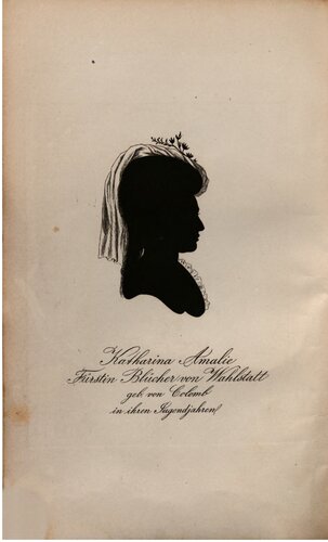 Blücher in Briefen aus den Feldzügen 1813-1815