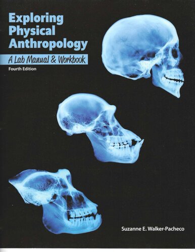 Exploring Physical Anthropology: A Lab Manual & Workbook