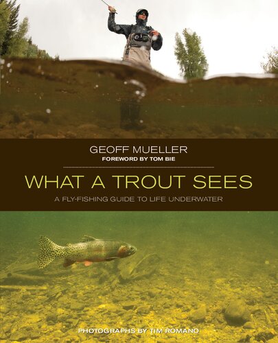What a Trout Sees: A Fly-Fishing Guide To Life Underwater