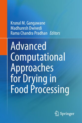 Advanced Computational Approaches for Drying in Food Processing