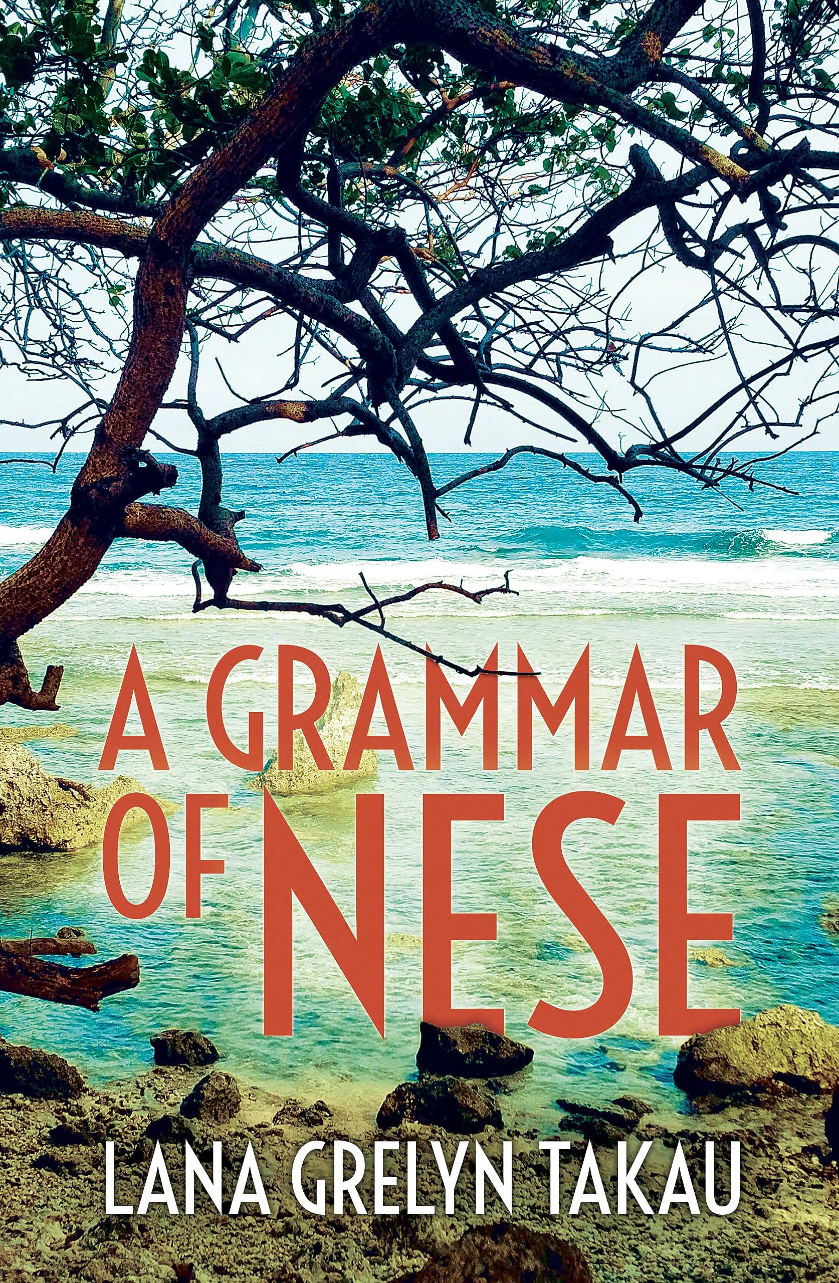 A Grammar of Nese