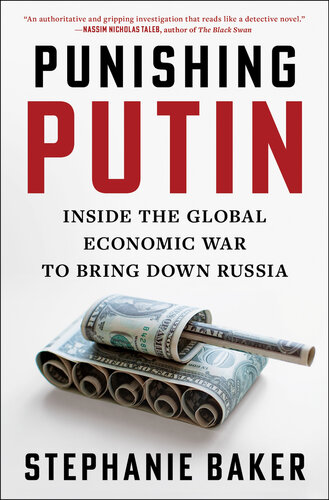 Punishing Putin : Inside the Global Economic War to Bring Down Russia