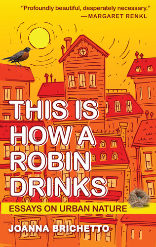 This Is How a Robin Drinks