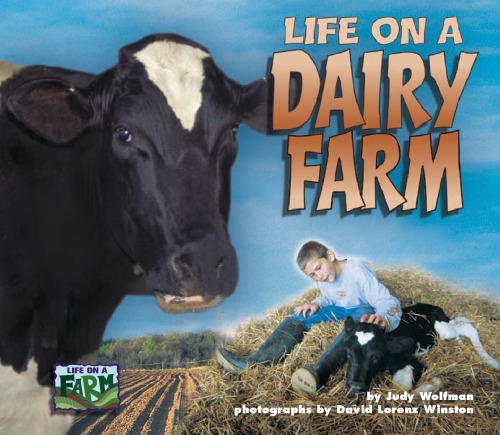 Life on a Dairy Farm (Life on a Farm)