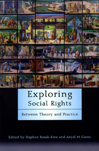 Exploring Social Rights: Between Theory and Practice