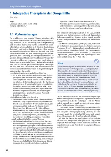 Integrative Therapie in der Drogenhilfe: Theorie - Methoden - Praxis in der sozialen und medizinischen Rehabilitation