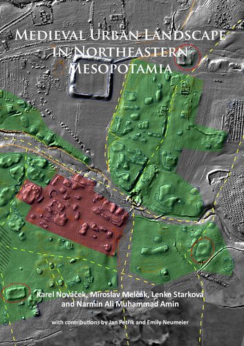 Medieval Urban Landscape in Northeastern Mesopotamia