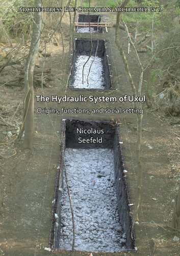 The Hydraulic System of Uxul: Origins, functions, and social setting