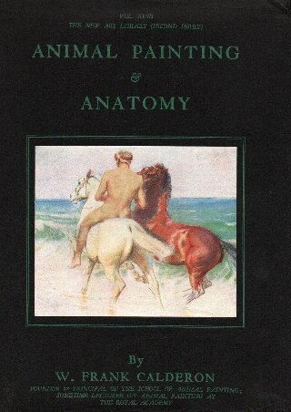 Animal Painting and Anatomy