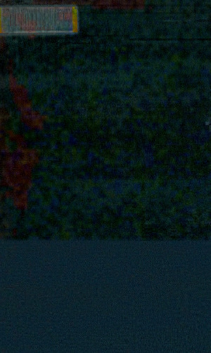 Visible Saints. The Congregational Way, 1640-1660