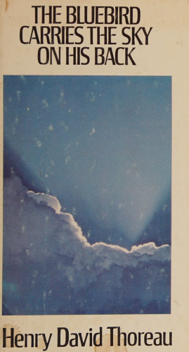The Bluebird Carries the Sky on His Back