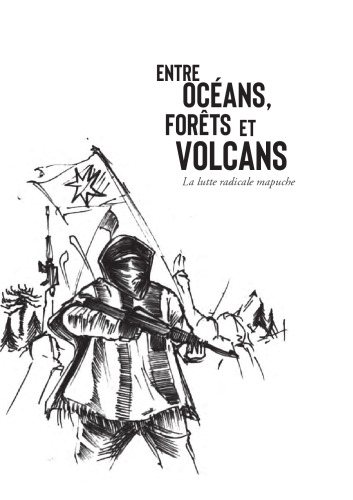 Entre océans, forêts et volcans. La lutte radicale mapuche