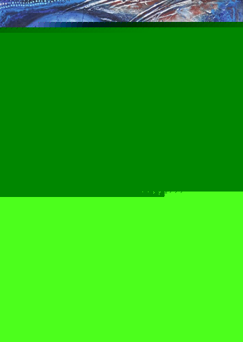 Aufbau und Komponenten der umbrischen Ritualbeschreibungen: die Iguvinischen Tafeln II, III und IV