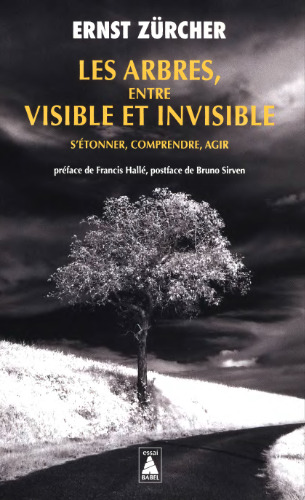 Les arbres, entre visible et invisible