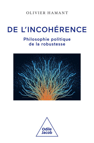 De l’incohérence. Philosophie politique de la robustesse