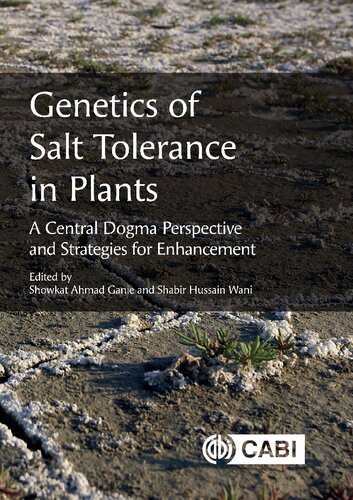 Genetics of Salt Tolerance in Plants: A Central Dogma Perspective and Strategies for Enhancement