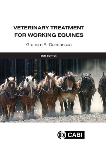 Veterinary Treatment for Working Equines