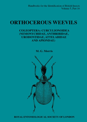 Orthocerous Weevils