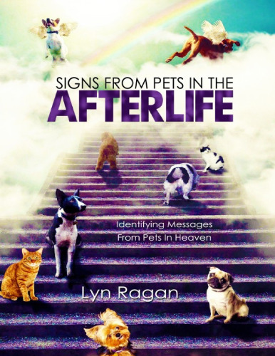 Signs from Pets in the Afterlife: Identifying Messages From Pets in Heaven