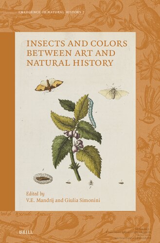 Insects and Colors between Art and Natural History