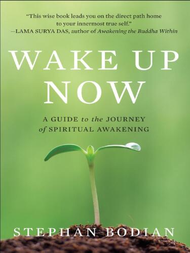 Wake up now. A guide to the journey of spiritual awakening