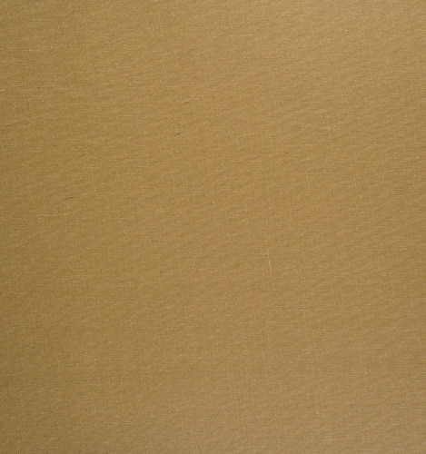 The History of the City