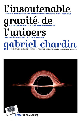 L'insoutenable gravité de l'univers