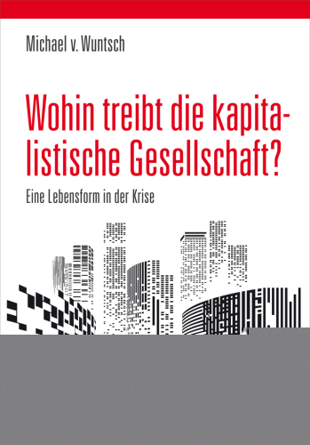 Wohin treibt die kapitalistische Gesellschaft?: Eine Lebensform in der Krise