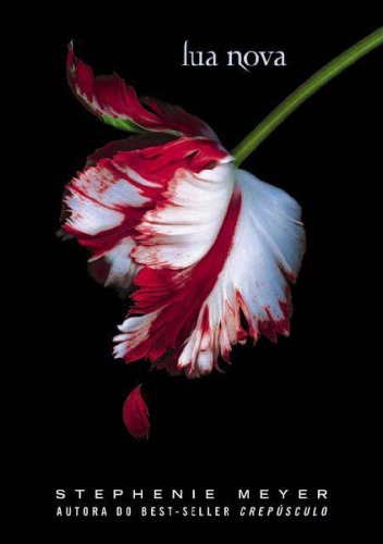 Lua Nova