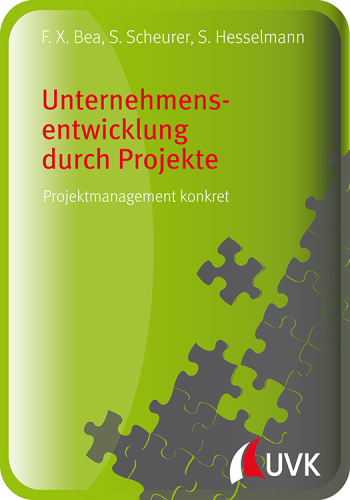 Unternehmensentwicklung durch Projekte: Projektmanagement konkret