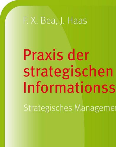 Praxis der strategischen Informationssysteme: Strategisches Management konkret