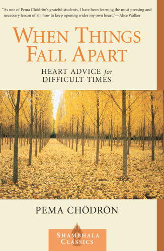 When Things Fall Apart: Heart Advice for Difficult Time