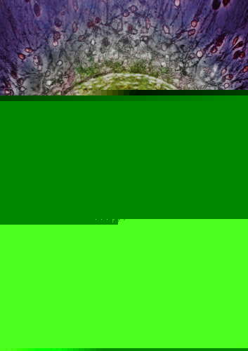 Selective Reproduction in the 21st Century