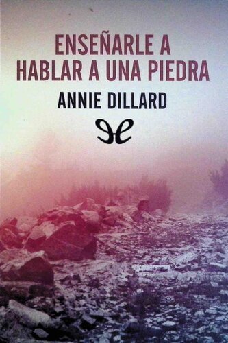 Enseñarle a hablar a una piedra