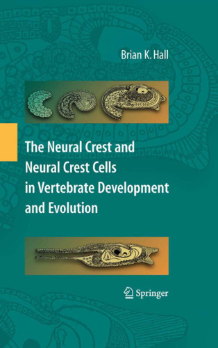 The Neural Crest and Neural Crest Cells in Vertebrate Development and Evolution