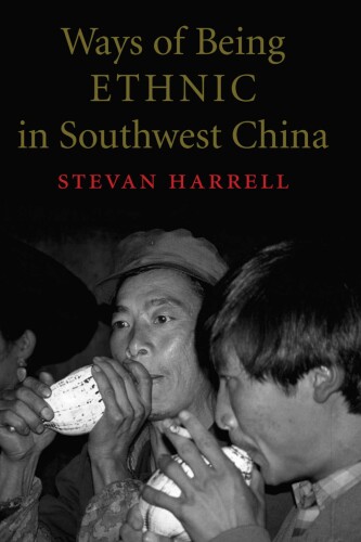 Ways of Being Ethnic in Southwest China (Studies on Ethnic Groups in China)