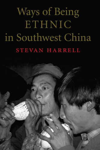 Ways of Being Ethnic in Southwest China (Studies on Ethnic Groups in China)
