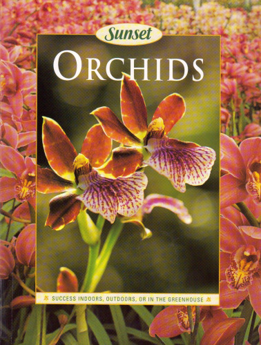 Orchids (Sunset)