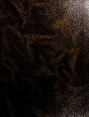 Tratado de paleografia española Tomo I