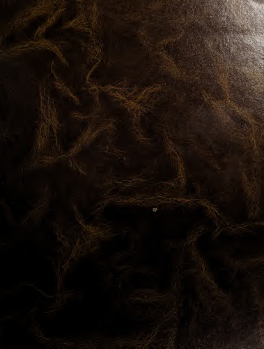 Tratado de paleografía española Tomo III